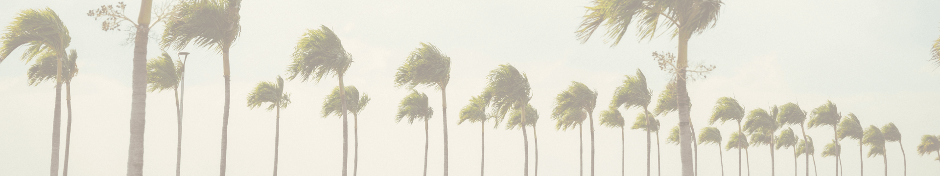 MAZDA  ロードスターRF VSグレード 2.0L(gray) 背景